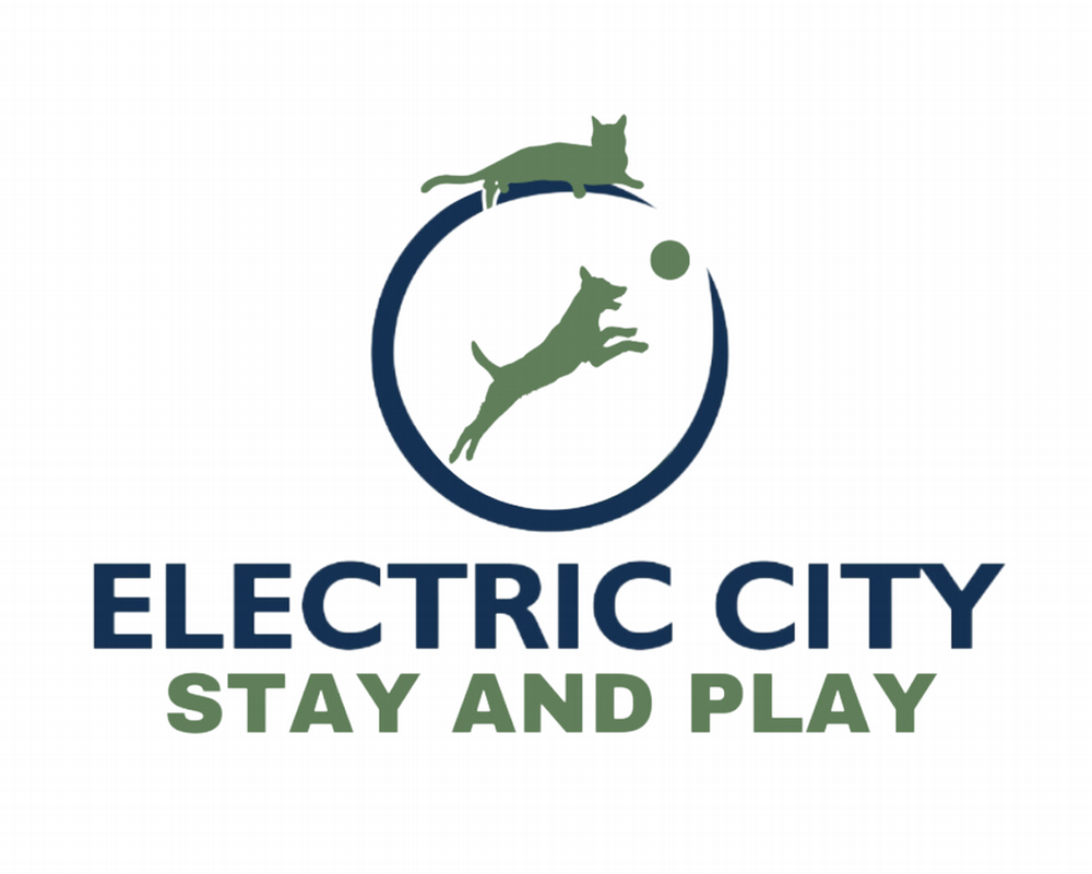 Electric City Stay and Play Home